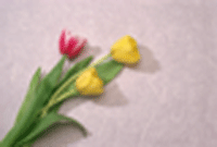 AWT IMAGE